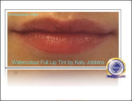 46-Katy Jobbins Permanent Makeup Watercolour Full Lip Tint FI 46-Katy Jobbins Permanent Makeup Watercolour Full Lip Tint FI